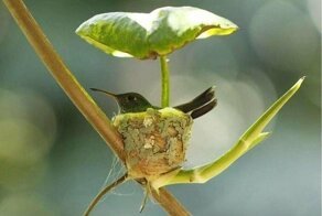 Эти фото надо увидеть хотя бы раз в жизни!