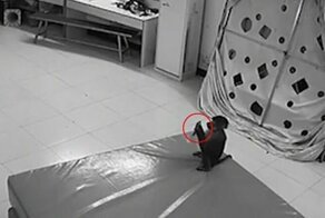Обезьяна нашла мобильный телефон и совершила несколько покупок в Интернете