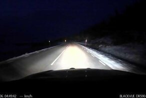 Словил лося
