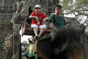 Камбоджа запретит катание на слонах в Ангкор-Вате