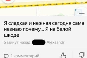 Убойные скрины с разговорчиками из приложения Яндекс. Карты, которые мигом поднимают настроение