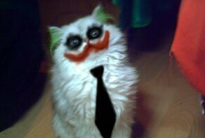 Намешалось