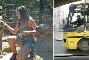 Если бы сам не увидел — не поверил бы... Люди с невероятной выдержкой