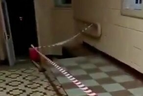 Положили плитку на совесть!