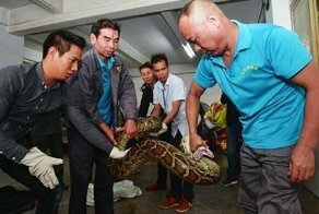 В китайском СПА обнаружился крышесносный  сосед!