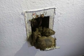 35 фотографий о том, с какой жутью можно встретиться на съемных квартирах