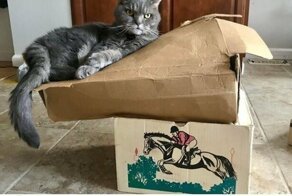 С добрым утром!