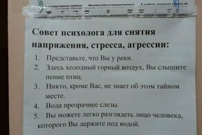 Еще раз убедились, что лучший психолог - это вискарик