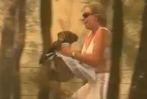 Храбрая австралийка спасла коалу из горящего леса