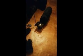 Кот Толик собрался в космическую экспедицию