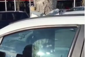 Французский креатив: дерево насквозь пронзило машину