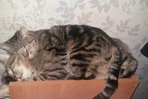 С добрым утром