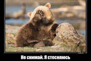 Веселые и забавные демотиваторы
