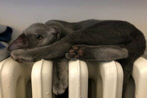 С добрым утром!