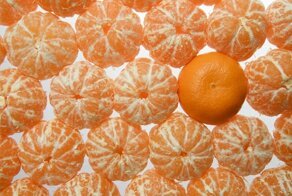 Как яркий и ароматный символ зимнего праздника получил свое название?