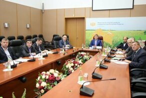 Минсельхоз обещает сделать обязательное чипирование домашних животных бесплатным