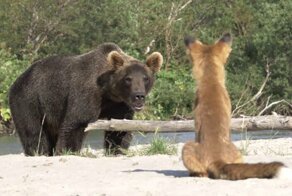 С добрым утром!