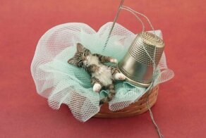 Кошечки от Kerri Pajutee