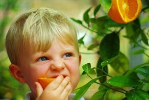 Почему при хранении апельсины приобретают кислый вкус?