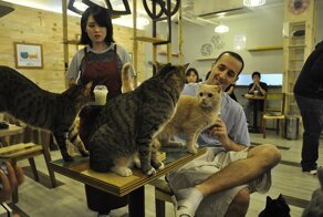 18 гениальных особенностей жизни в Японии, которые никого не оставят равнодушными