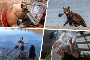 Фотографии обо всём, которые сделают ваш день ярче, а улыбку шире