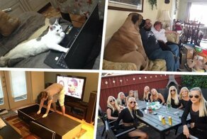 Забавные фотографии обо всём