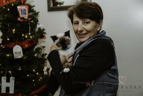 На улице нашли кошку с душераздирающей запиской, привязанной к ошейнику
