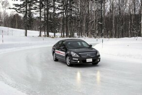 Шипы или липучка?