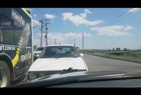 Выложите это видео в интернет — убьет