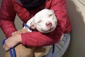 С добрым утром!