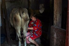 Сельские будни