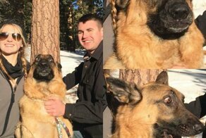 Эмоциональные фотографии людей и животных, которые увидели снег в первый раз