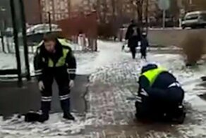 Собачник с ножом атаковал сотрудника ГИБДД в Мытищах
