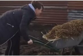 Позитив с запашком: Девушка случайно опрокинула на себя тачку с навозом