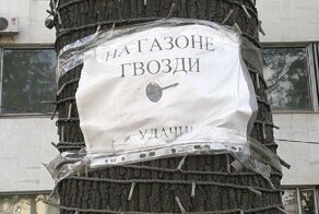 15 смешных объявлений и абсурдных надписей, написанных в России