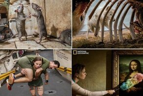 Лучшие фотографии 2019 года по версии National Geographic