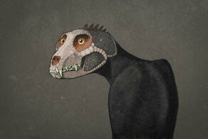 Уникальные и умозрительные взгляды на динозавров и других доисторических животных