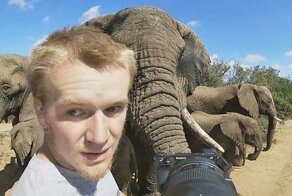 Слоны обнаружили наблюдавшего за ними фотографа и решили познакомиться поближе