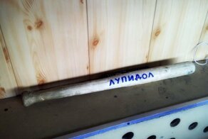 Современная армия, в которой смеяться и грустить точно не приходится