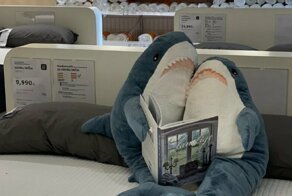 Плюшевые акулы -  почти как люди!