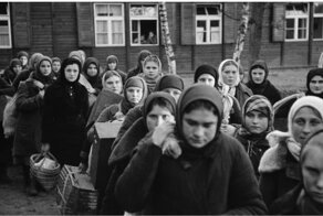 Пили бы баварское
