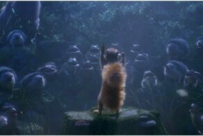 Если бы у животных была своя опера