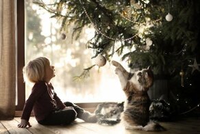 Как с Дедом Морозом случилось чудо