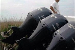 Газонокосилка для богатых (5 фото)