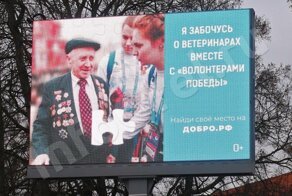 Создатели социальной рекламы в Орле перепутали ветеранов с ветеринарами