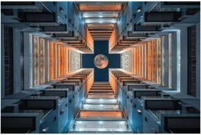 25 самых фантастичных фотографий 2019 года