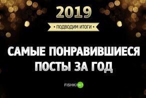 Лайкай, лайкай меня полностью!