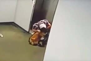 Невнимательность хозяйки чуть не привела к гибели собаки