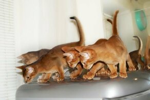 С добрым утром!