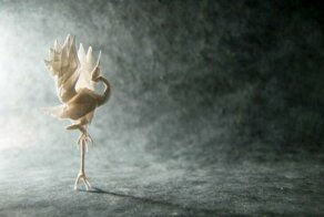 Мастер оригами высшего уровня